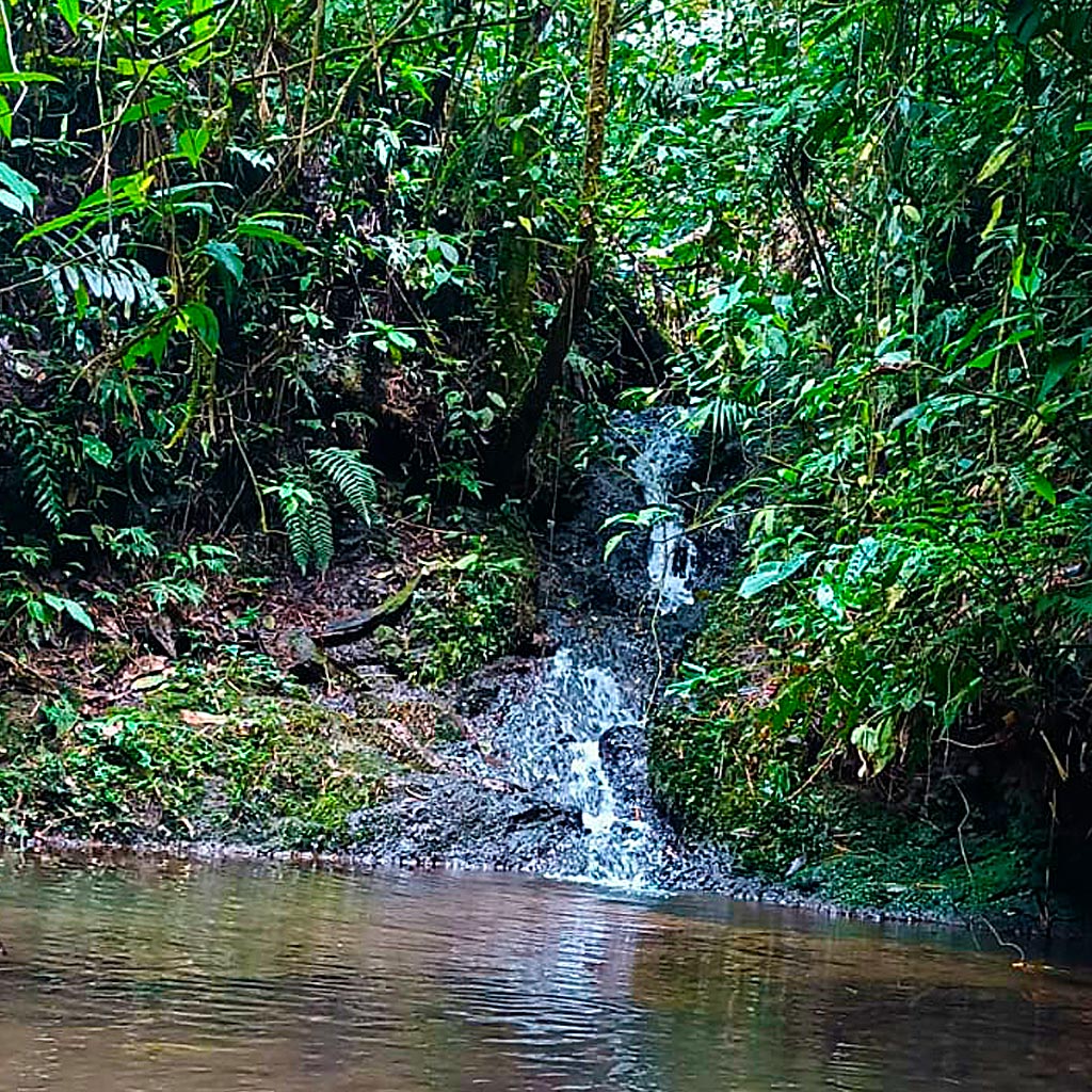 detur, alojamiento en cabañas, filandia, quindío, cabañas en guadua, turismo, descanzo, vacaciones