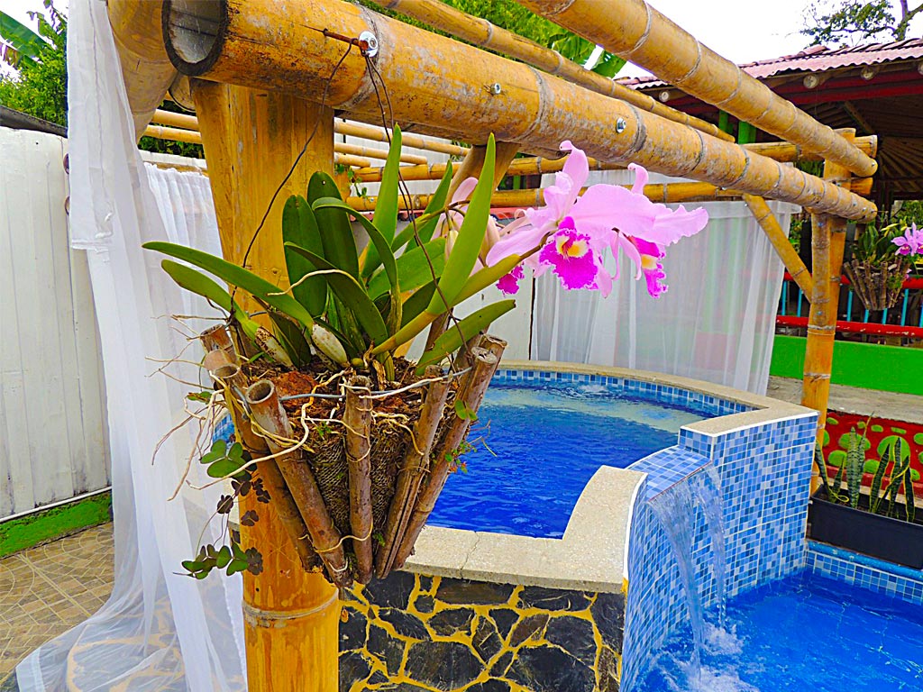 detur, alojamiento rural, entre guaduas, filandia, quindío, fincas, turismo, descanzo, vacaciones