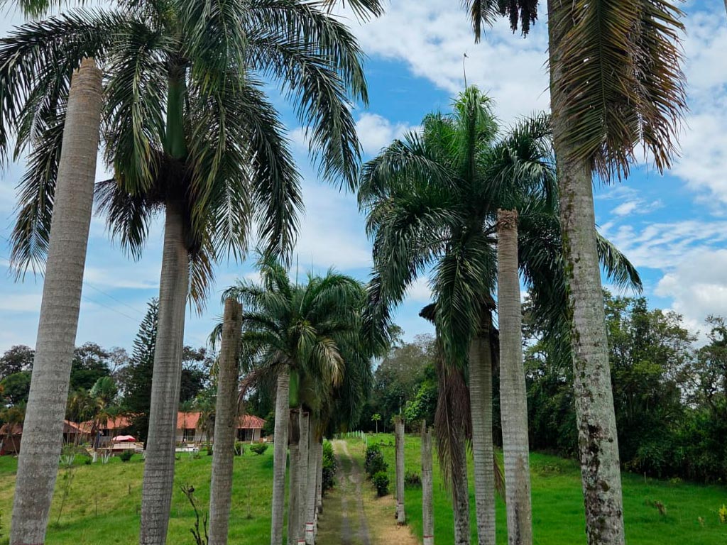 detur, de tur, detur fincas fincas en Montenegro, fincas en alquiler Montenegro, alquiler de fincas en Montenegro, fincas turísticas en Montenegro, finca vacacional Montenegro, finca campestre Montenegro, fincas en el eje cafetero